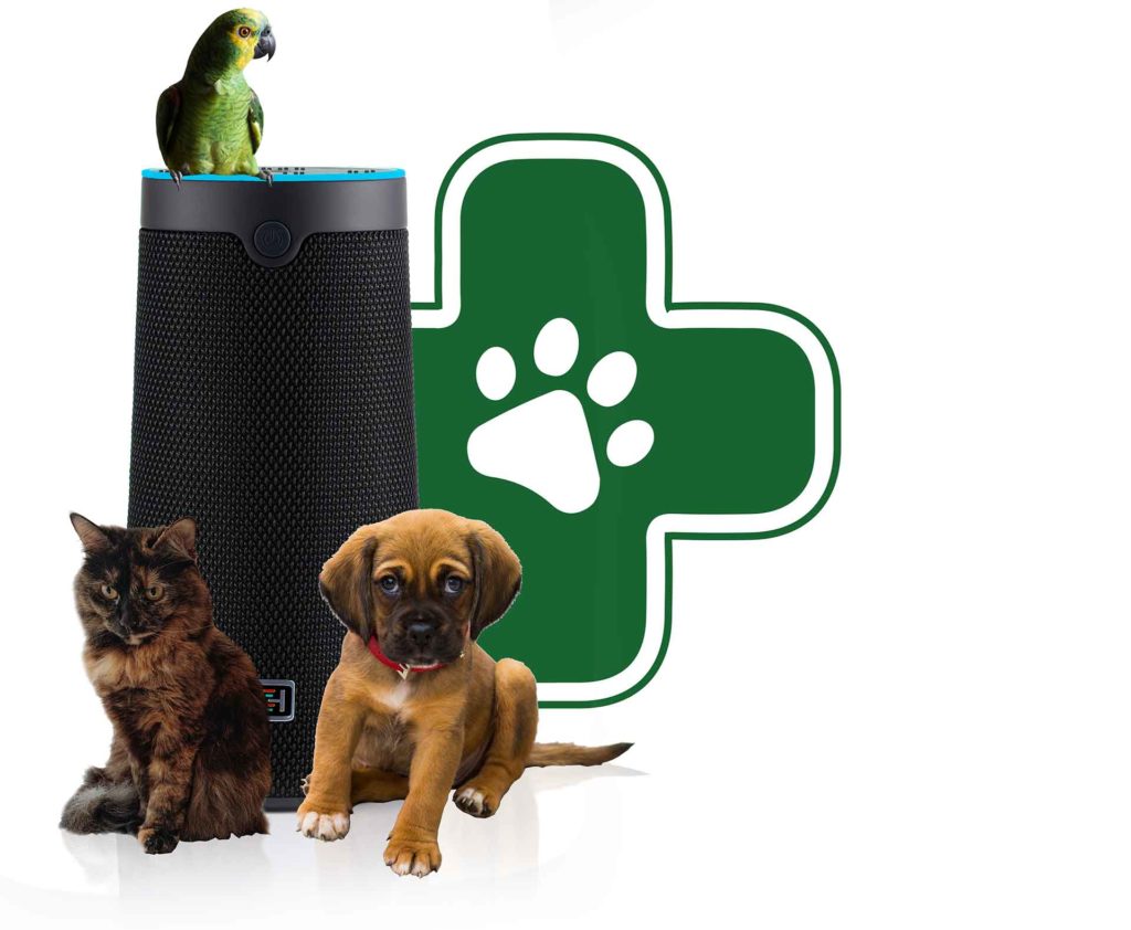 Parrot, puppy, and kitten surround a WellBe smart speaker and a green cross icon with a white paw print.