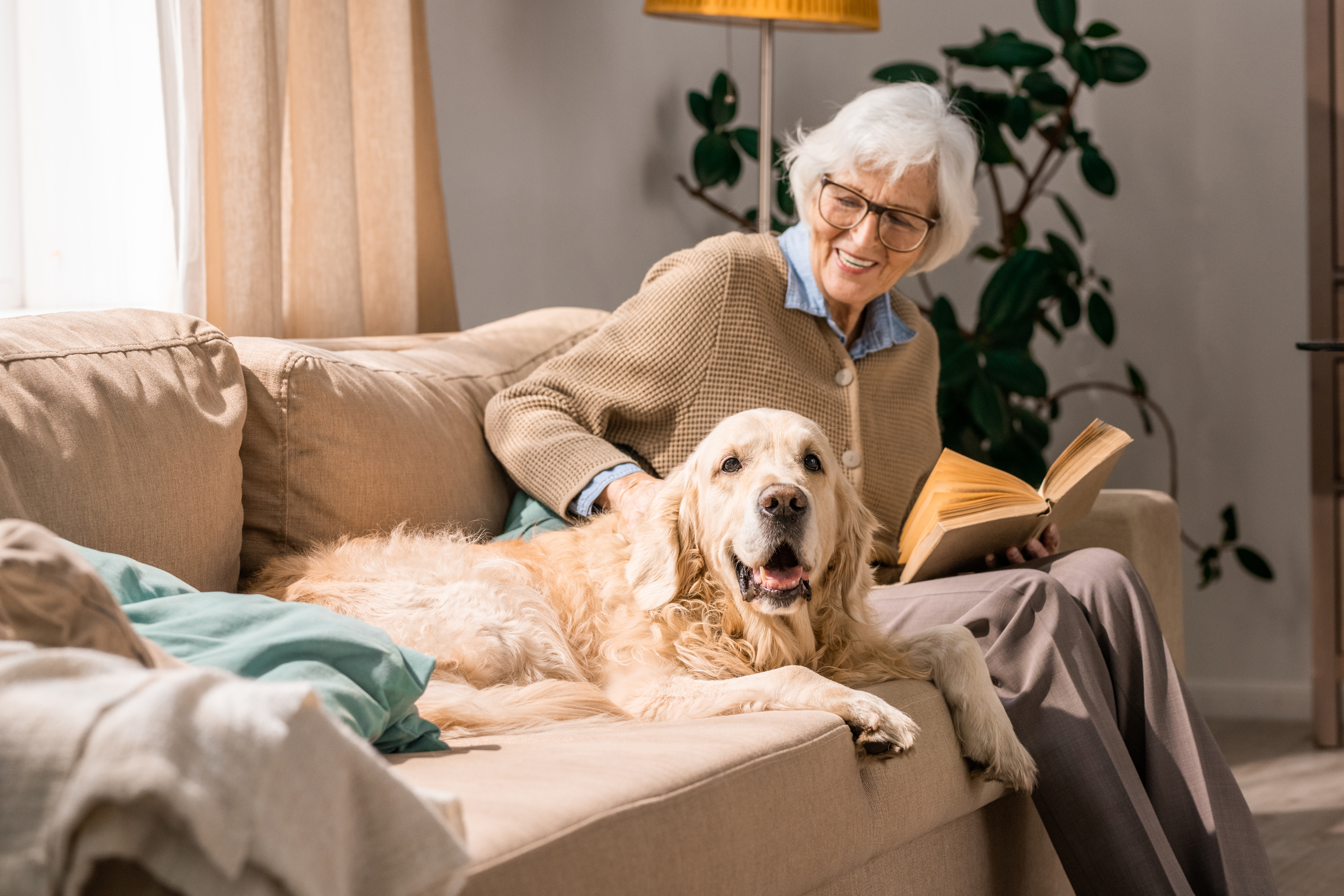  Older woman sitting on the couch, smiling and petting her golden retriever. 