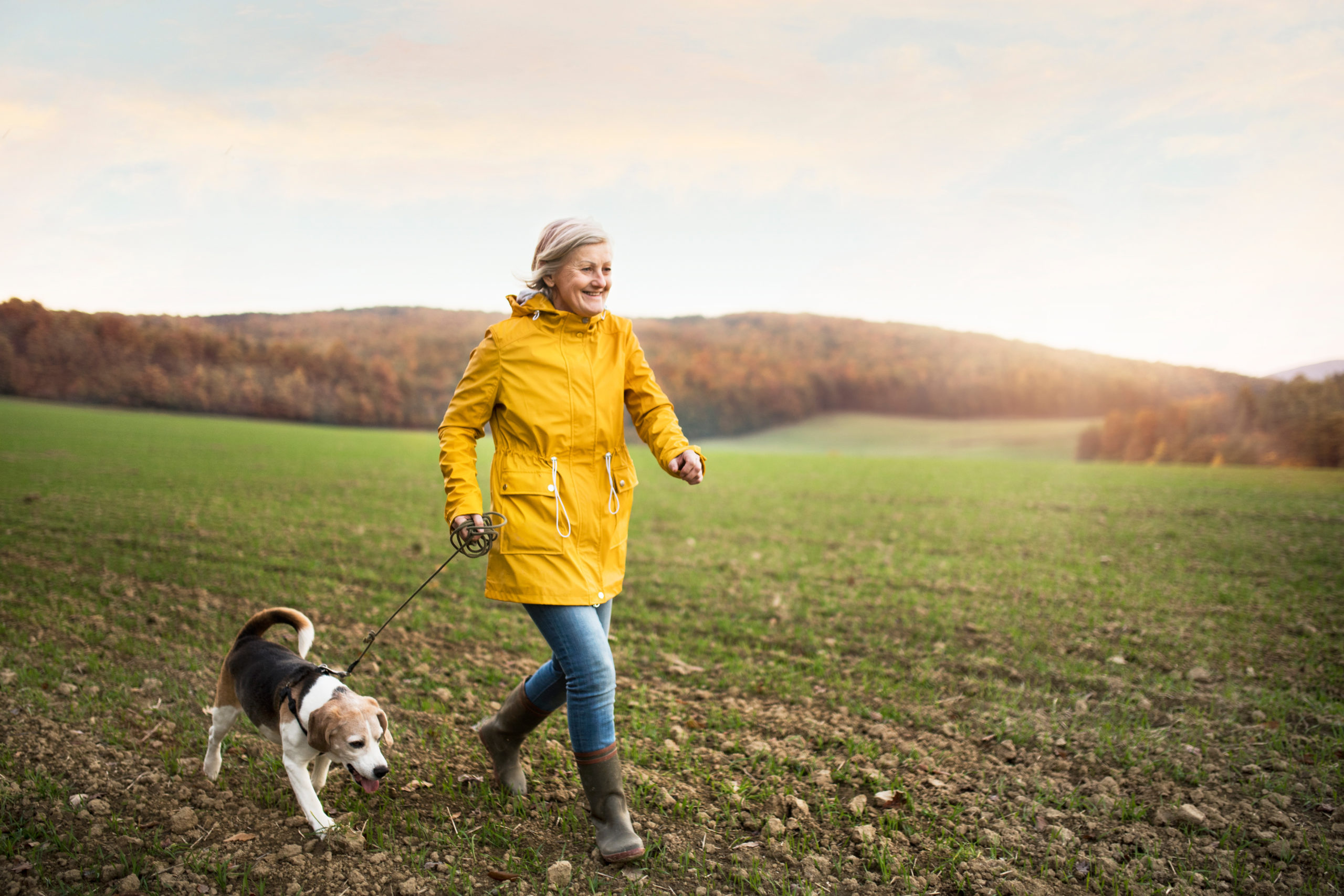  Senior woman in a yellow jacket goes for a jog outdoors with her dog.