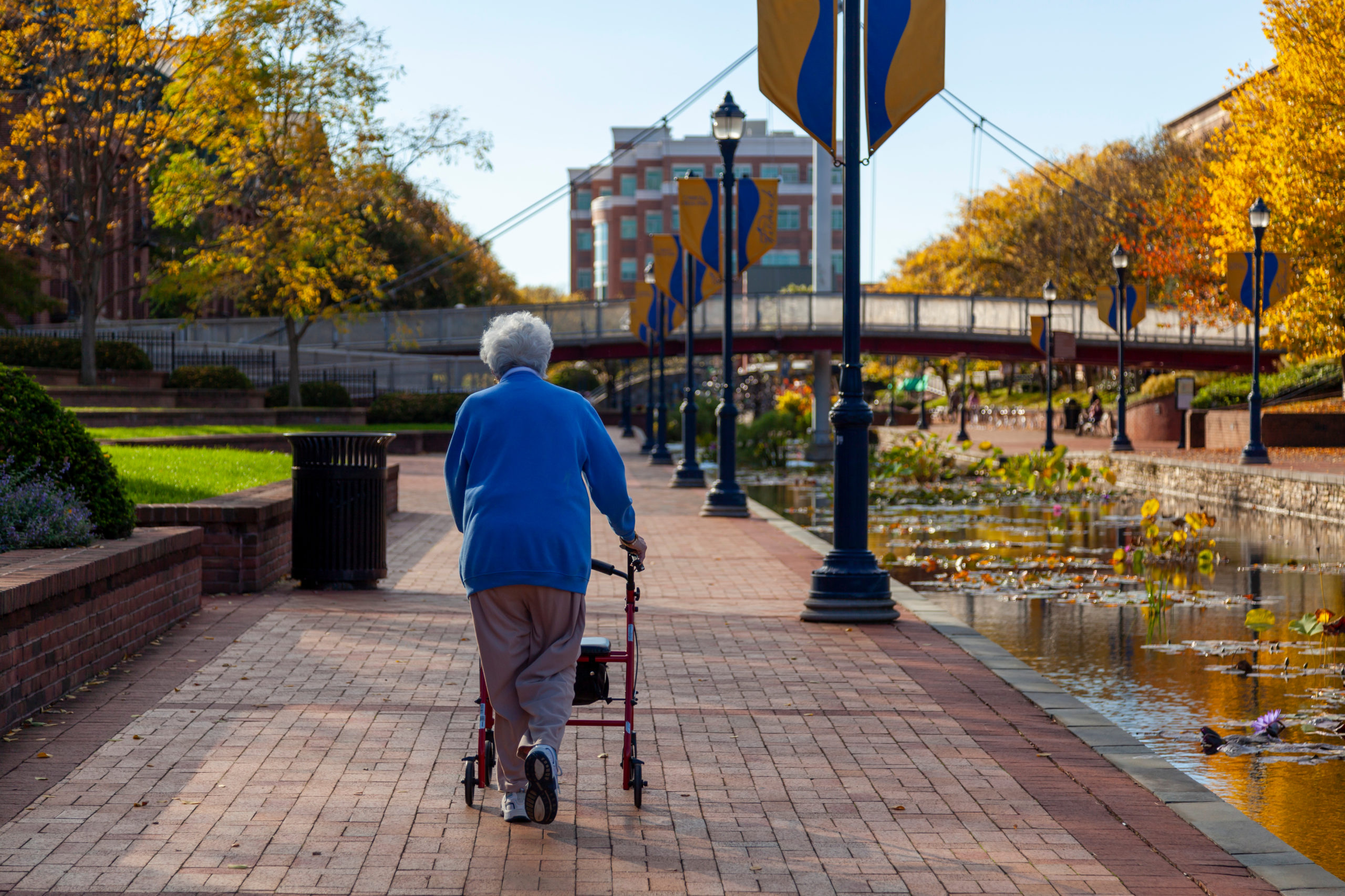 Senior woman in blue jacket walks with her walker near a river. 