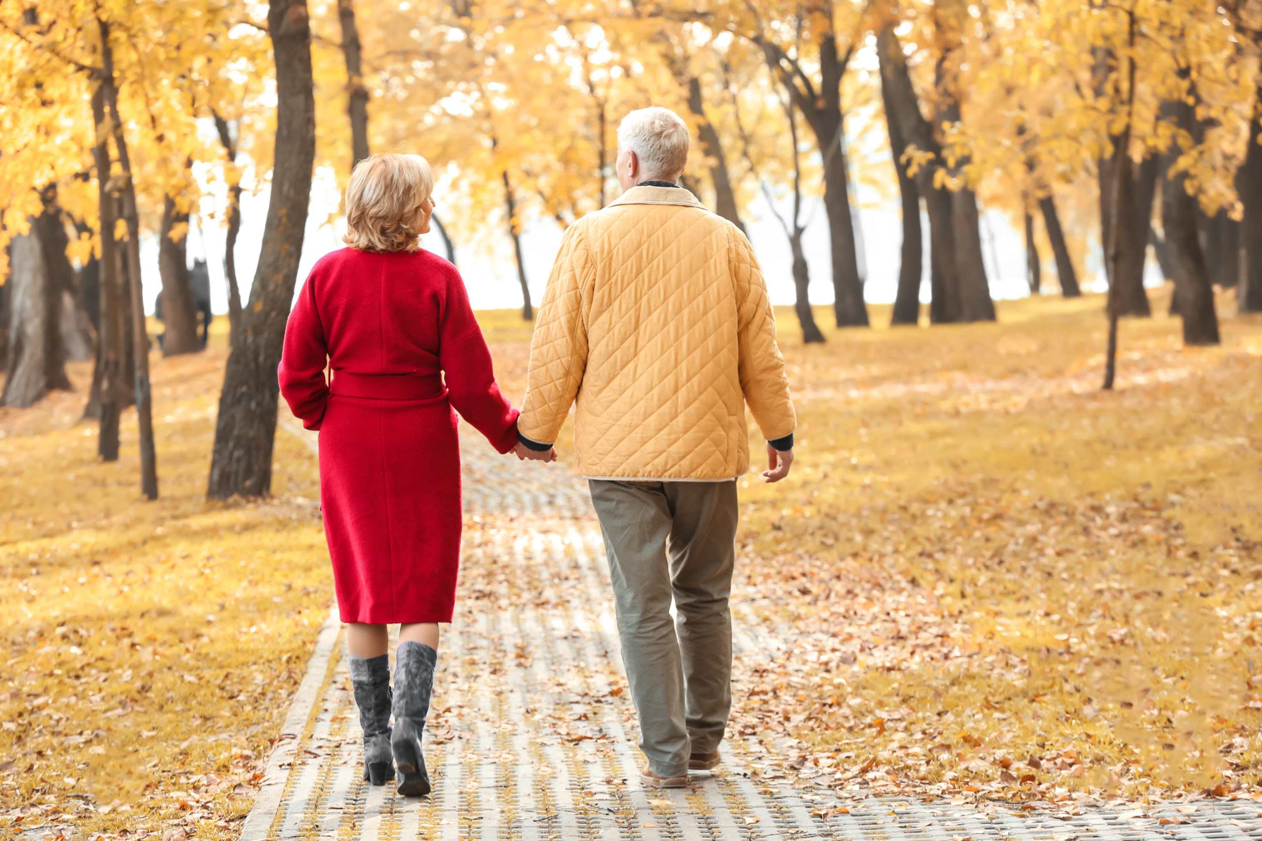 Older couple walks through the park with fall foliage around them.